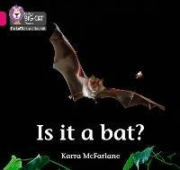 Is it a Bat?: Band 01b/Pink B - Karra McFarlane - cover