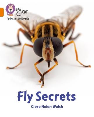 Fly Secrets: Band 06/Orange - Clare Helen Welsh - cover