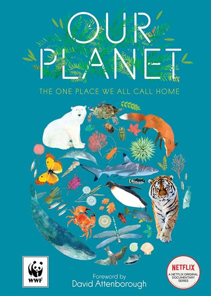 Our Planet: The One Place We All Call Home - Matt Whyman,Richard Jones - ebook