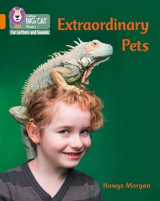 Extraordinary Pets: Band 06/Orange - Hawys Morgan - cover