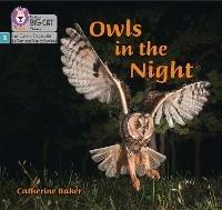 Owls in the Night: Phase 3 Set 2 - Catherine Baker - cover