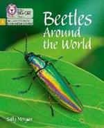 Beetles Around the World: Phase 5 Set 4