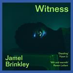 Witness: the stunning new short story collection of families and relationships – ‘Brinkley’s sentences are daggers’ Raven Leilani