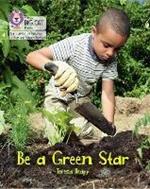 Be a Green Star: Phase 4 Set 2 Stretch and Challenge