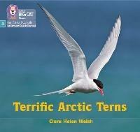 Terrific Arctic Terns: Phase 3 Set 2 - Clare Helen Welsh - cover