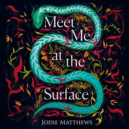 Meet Me at the Surface: A haunting literary debut novel