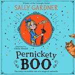 Pernickety Boo: A beautifully illustrated, magical, fantasy adventure for kids aged 7+