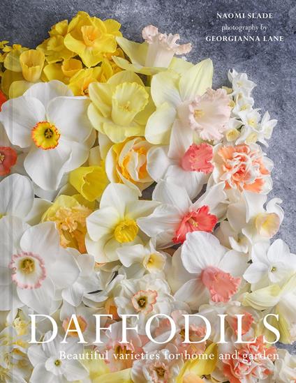 Daffodils: Beautiful Varieties for Home and Garden