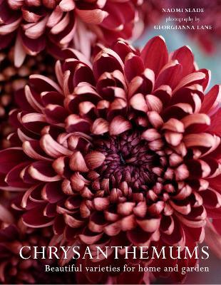 Chrysanthemums: Beautiful Varieties for Home and Garden - Naomi Slade,Georgianna Lane - cover