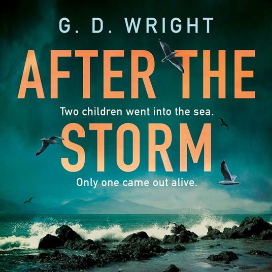 After the Storm: the best new debut crime drama novel of 2024, perfect for fans of Claire Douglas, Lisa Jewell and Andrea Mara plus Broadchurch, Happy Valley and The Bay