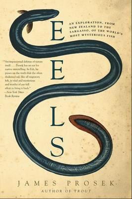 Eels: An Exploration, from New Zealand to the Sargasso, of the World's Most Mysterious Fish - James Prosek - cover