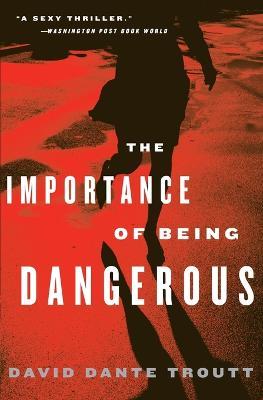 The Importance Of Being Dangerous - David Dante Troutt - cover