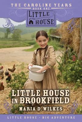 Little House in Brookfield - Maria D Wilkes - cover