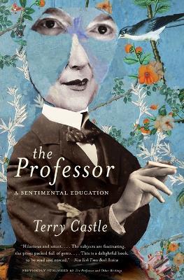 The Professor: A Sentimental Education - Terry Castle - cover