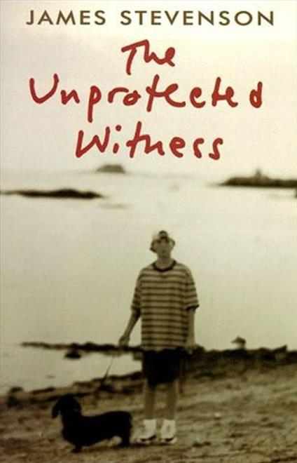 The Unprotected Witness - James Stevenson,Edwina Stevenson - ebook