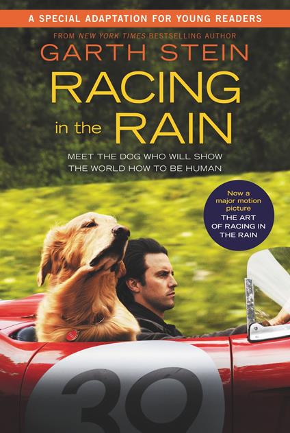 Racing in the Rain - Garth Stein - ebook