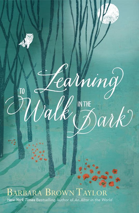 Learning to Walk in the Dark