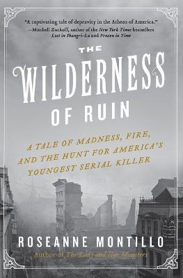 The Wilderness of Ruin: A Tale of Madness, Fire, and the Hunt for America's Youngest Serial Killer - Roseanne Montillo - cover