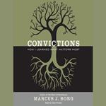 Convictions