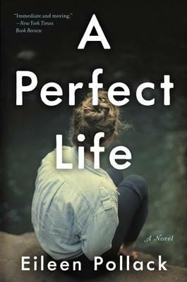 A Perfect Life - Eileen Pollack - cover