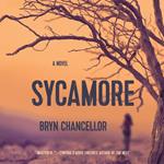 Sycamore