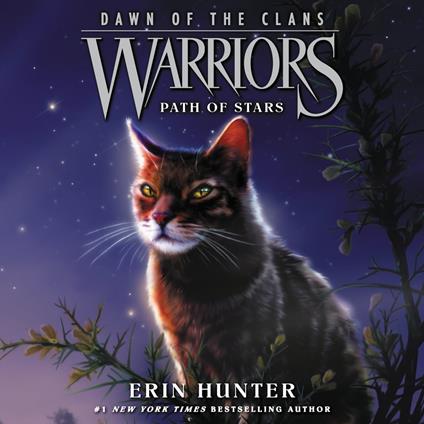 Warriors: Dawn of the Clans #6: Path of Stars