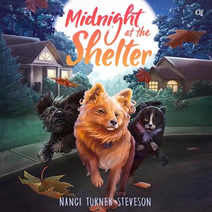 Midnight at the Shelter