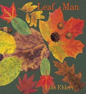 Leaf Man Board Book - Lois Ehlert - cover