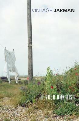 At Your Own Risk: A Saint's Testament - Derek Jarman - 2