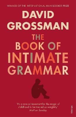 The Book Of Intimate Grammar - David Grossman - cover