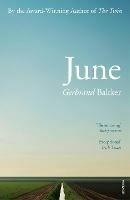 June - Gerbrand Bakker - cover