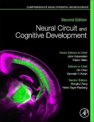 Neural Circuit and Cognitive Development: Comprehensive Developmental Neuroscience - cover
