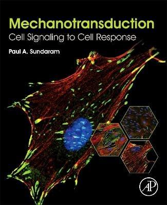 Mechanotransduction: Cell Signaling to Cell Response - Paul Sundaram - cover