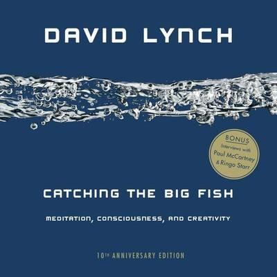 Catching the Big Fish: Meditation, Consciousness, and Creativity: 10th Anniversary Edition - David Lynch - cover