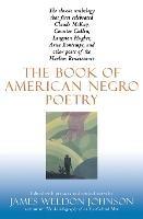 Book of American Negro Poetry - James Weldon Johnson - cover