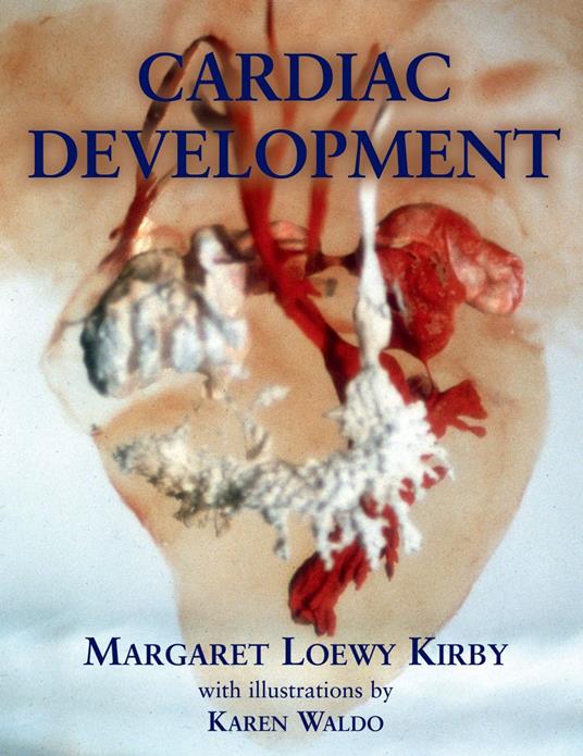 Cardiac Development