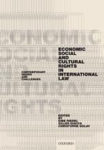 Economic, Social, and Cultural Rights in International Law