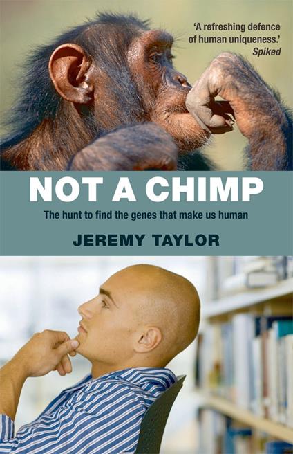 Not a Chimp