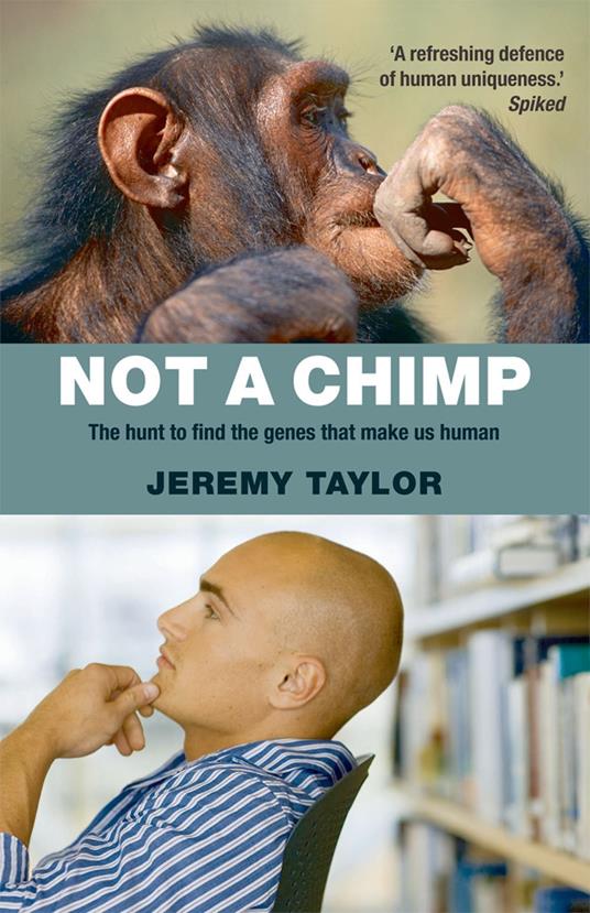 Not a Chimp