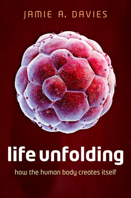 Life Unfolding