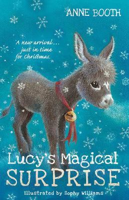 Lucy's Magical Surprise - Anne Booth - cover