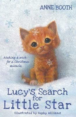 Lucy's Search for Little Star - Anne Booth - cover