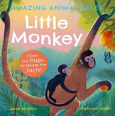 Amazing Animal Tales: Little Monkey - Anne Rooney - cover