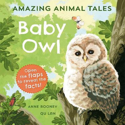 Amazing Animal Tales: Baby Owl - Anne Rooney - cover