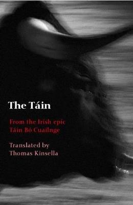 The Táin: From the Irish epic Táin Bó Cuailnge - cover