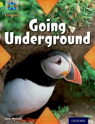 Project X Origins: Lime Book Band, Oxford Level 11: Underground: Going Underground - John Malam - cover