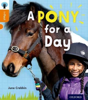 Oxford Reading Tree inFact: Level 6: A Pony for a Day - June Crebbin - cover