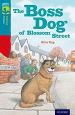 Oxford Reading Tree TreeTops Fiction: Level 9 More Pack A: The Boss Dog of Blossom Street