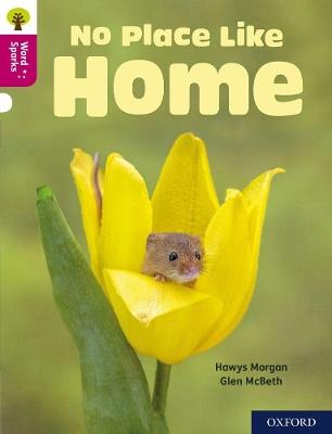 Oxford Reading Tree Word Sparks: Level 10: No Place Like Home - Hawys Morgan - cover