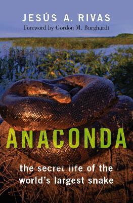 Anaconda: The Secret Life of the World's Largest Snake - Jesús A. Rivas - cover